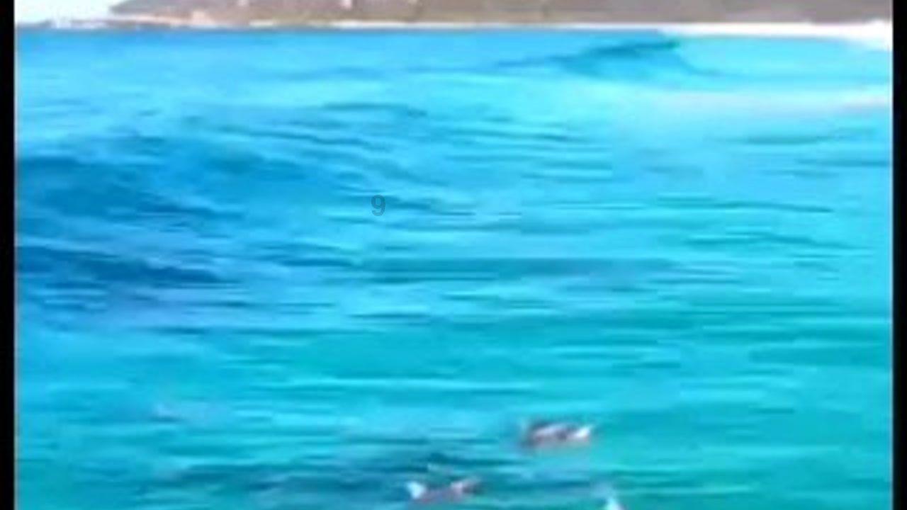 英魂之刃